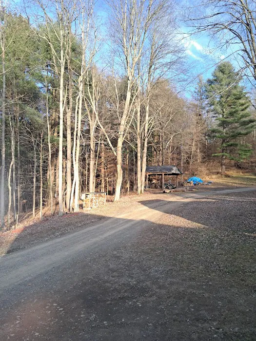 B-Bar-M Campground, LLC 8
