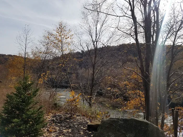 Adirondack shelter - Red Bank Valley Trail 9