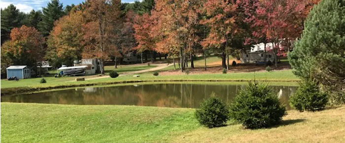 Timeless Trails Camping and Cabins 6