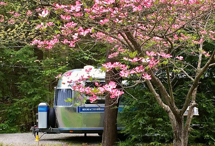 PennWood Airstream Park 10