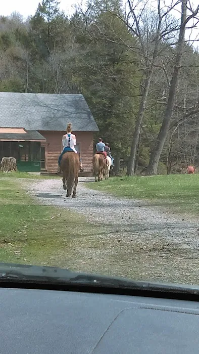 Maranatha Youth Ranch & Bible 1