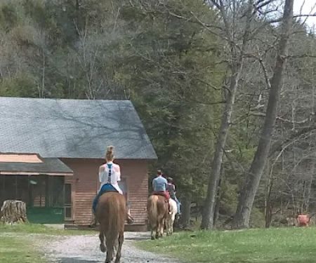 Maranatha Youth Ranch & Bible