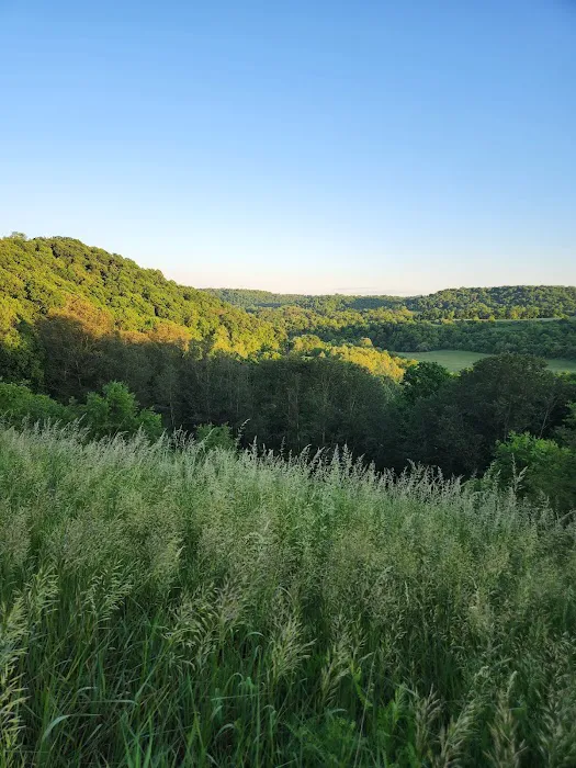 Mountain Top RV Campground 8
