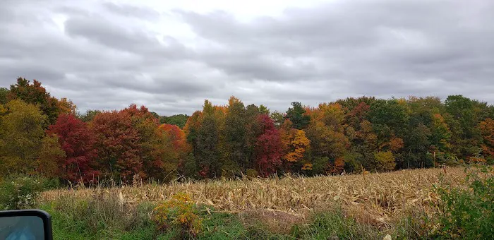 Smith Grove Campground 10
