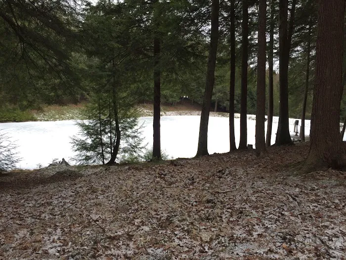 Lauder Family Campground 1