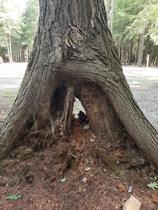 Lauder Family Campground 9