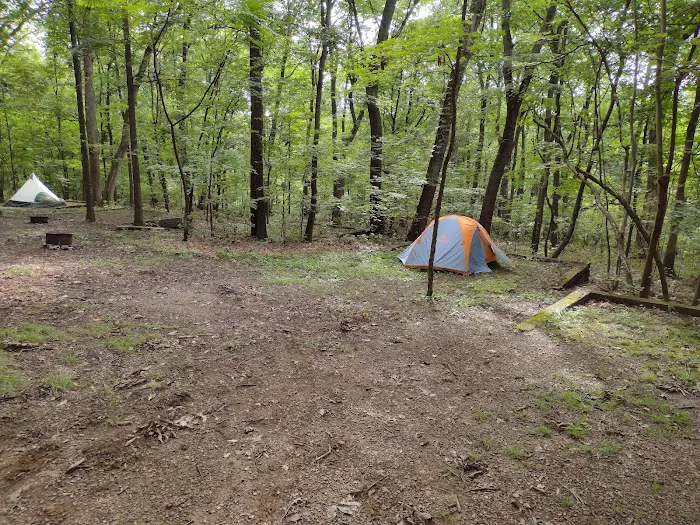 Honey Bear Campground 2