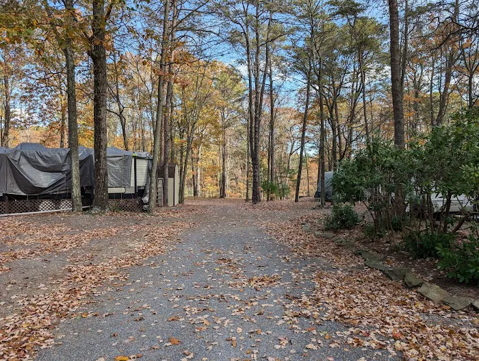 Honey Bear Campground 9