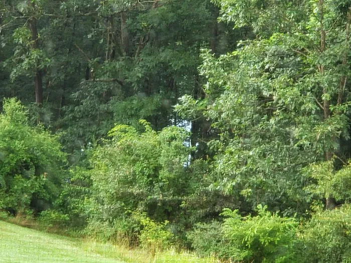 Lake View Trails, Inc. 4