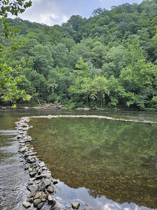 Branch Campground 1