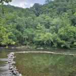 Branch Campground