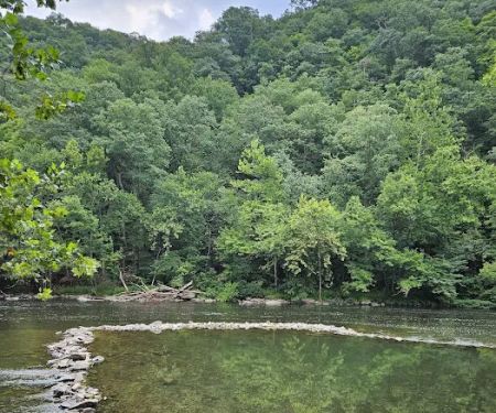 Branch Campground