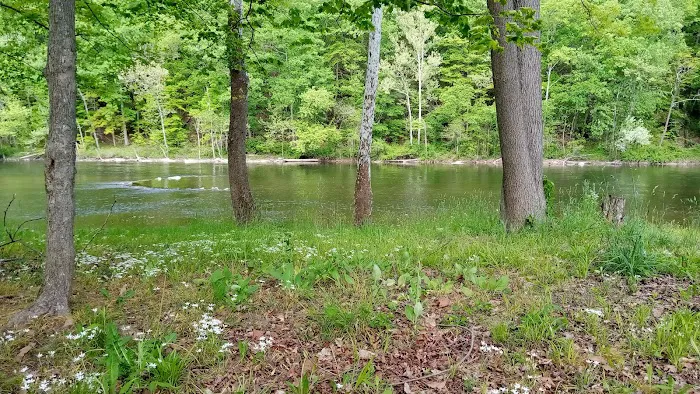 Branch Campground 2