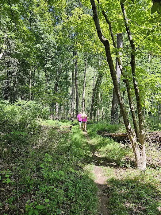 Branch Campground 6