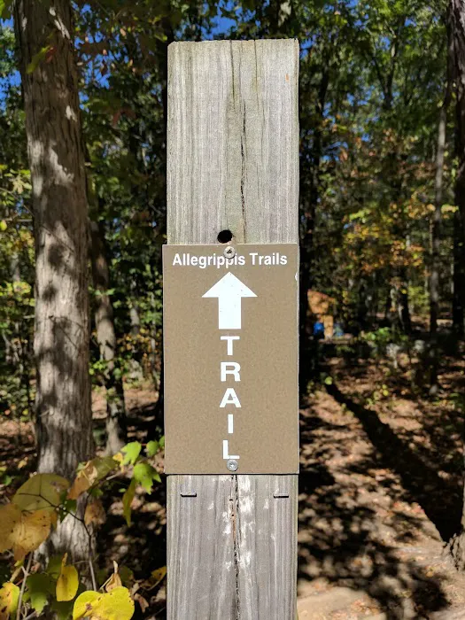 Susquehannock Campground - U.S. Army Corp of Engineers 2