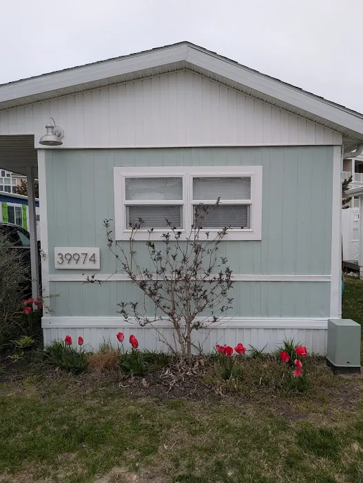 Summer-Time Trailer Park 3
