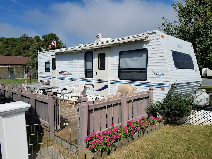 Pine Tree Campground 5