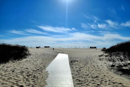 Oceanside Walk-In Campground