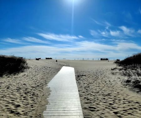 Oceanside Walk-In Campground