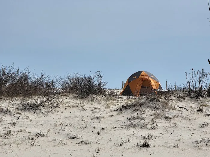 Oceanside Walk-In Campground 7