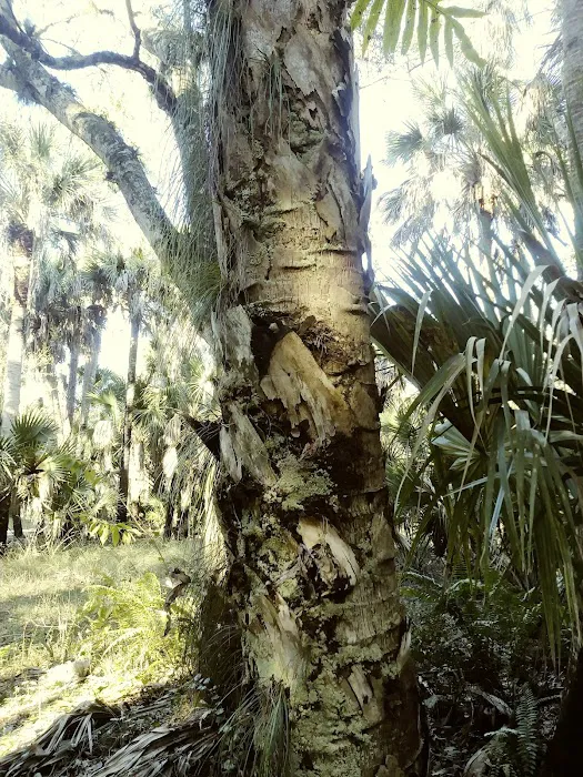 Dupuis Group Campground. 22500 SW Kanner HWY 4