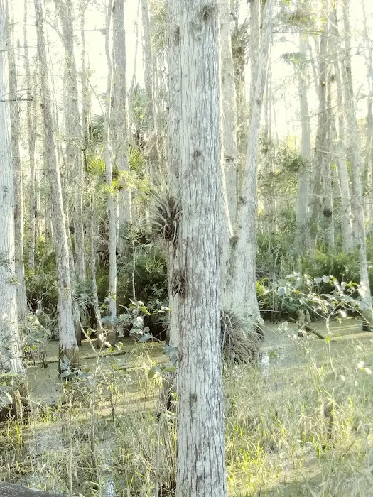 Dupuis Group Campground. 22500 SW Kanner HWY 7