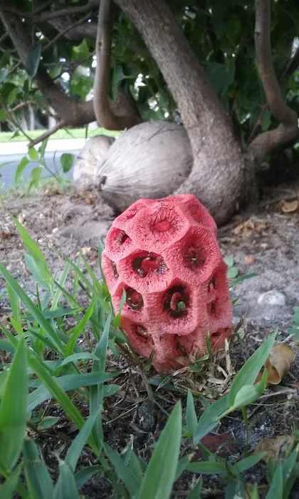 Palm Beach Colony 7