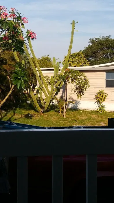 Palm Beach Colony 5