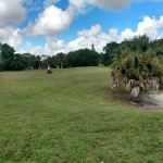 Meadowbrook