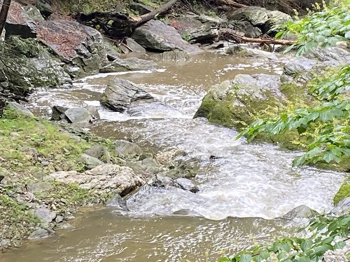 Otter Creek Campground 9