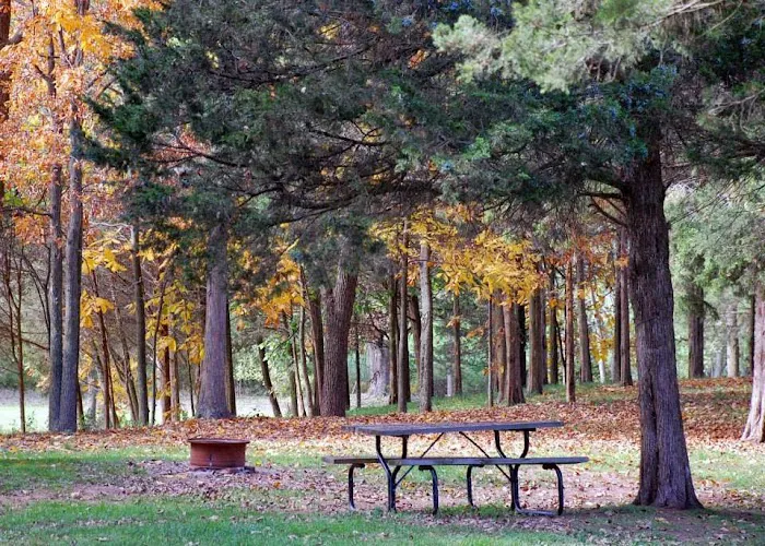 Cedar Lake Campground 3