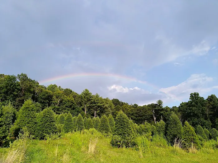 Conewago Campground 8