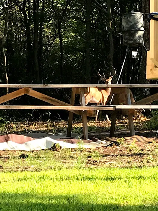 Pine Ridge Campground 8