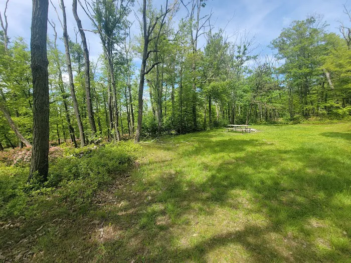 Primitive Campsite #8 3