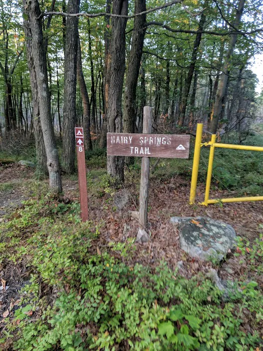 Primitive Campsite #8 5