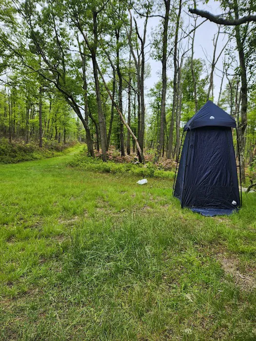 Primitive Campsite #8 8