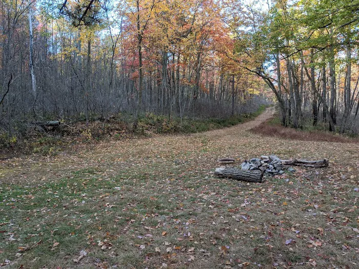 Primitive Campsite #8 9