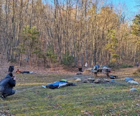 Primitive Campsite #7