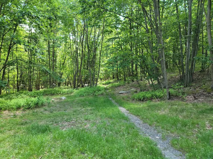 Primitive Campsite #7 4