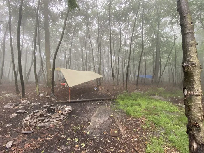 Primitive Campsite #4 1