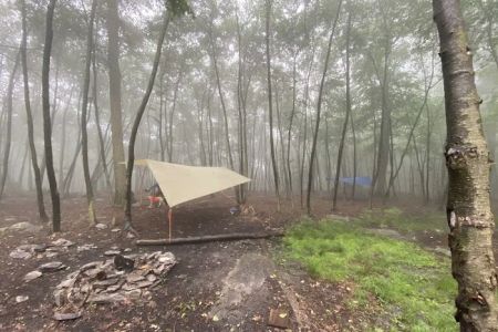 Primitive Campsite #4