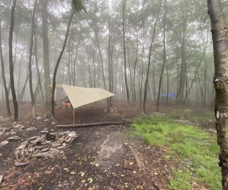 Primitive Campsite #4