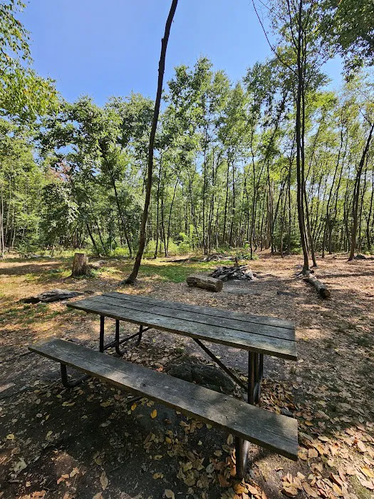 Primitive Campsite #4 3