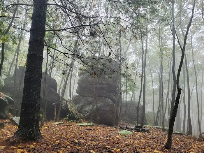 Primitive Campsite #4 7