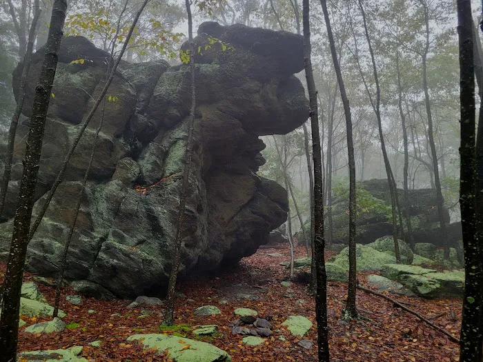 Primitive Campsite #4 5