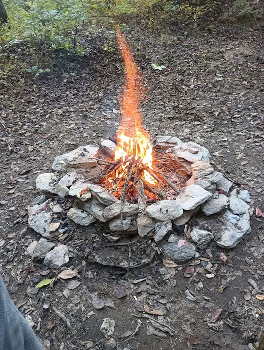 Primitive Campsite #4 4