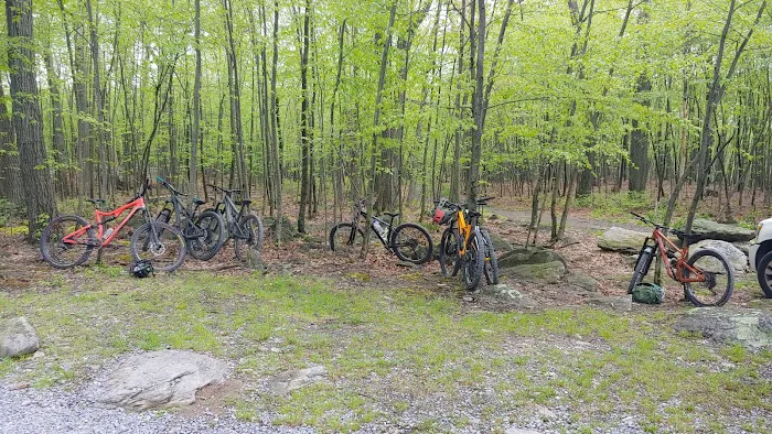Primitive Campsite #4 9