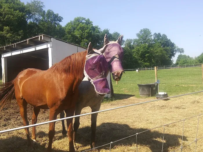 Hip Camp At Bellview Farm 1