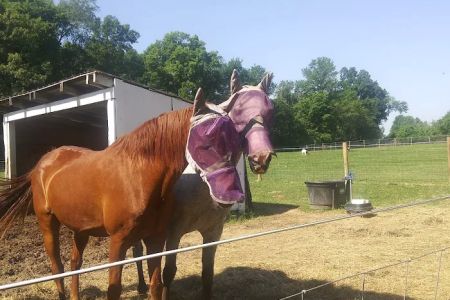 Hip Camp At Bellview Farm
