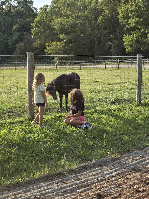 Hip Camp At Bellview Farm 7